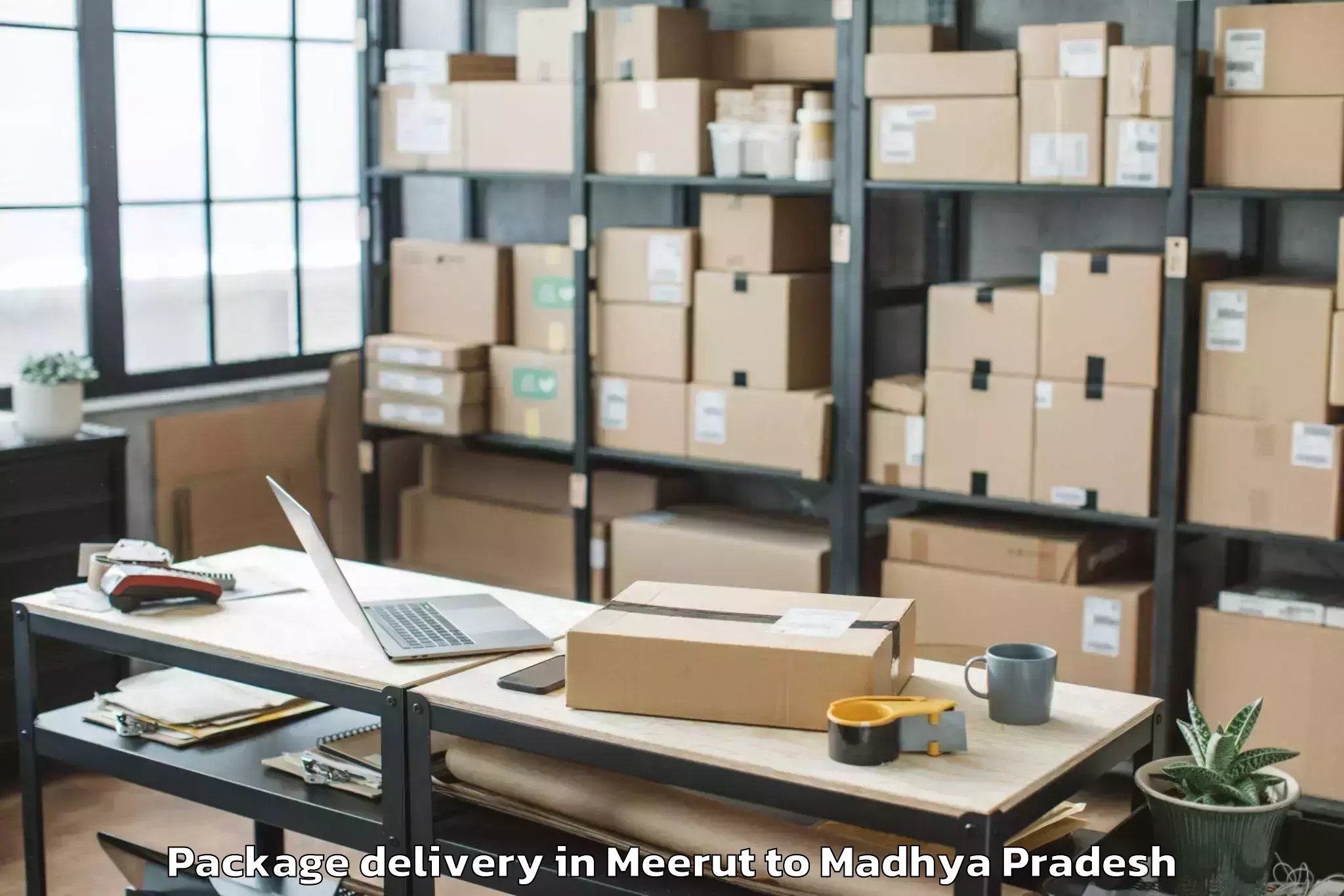 Reliable Meerut to Satwas Package Delivery